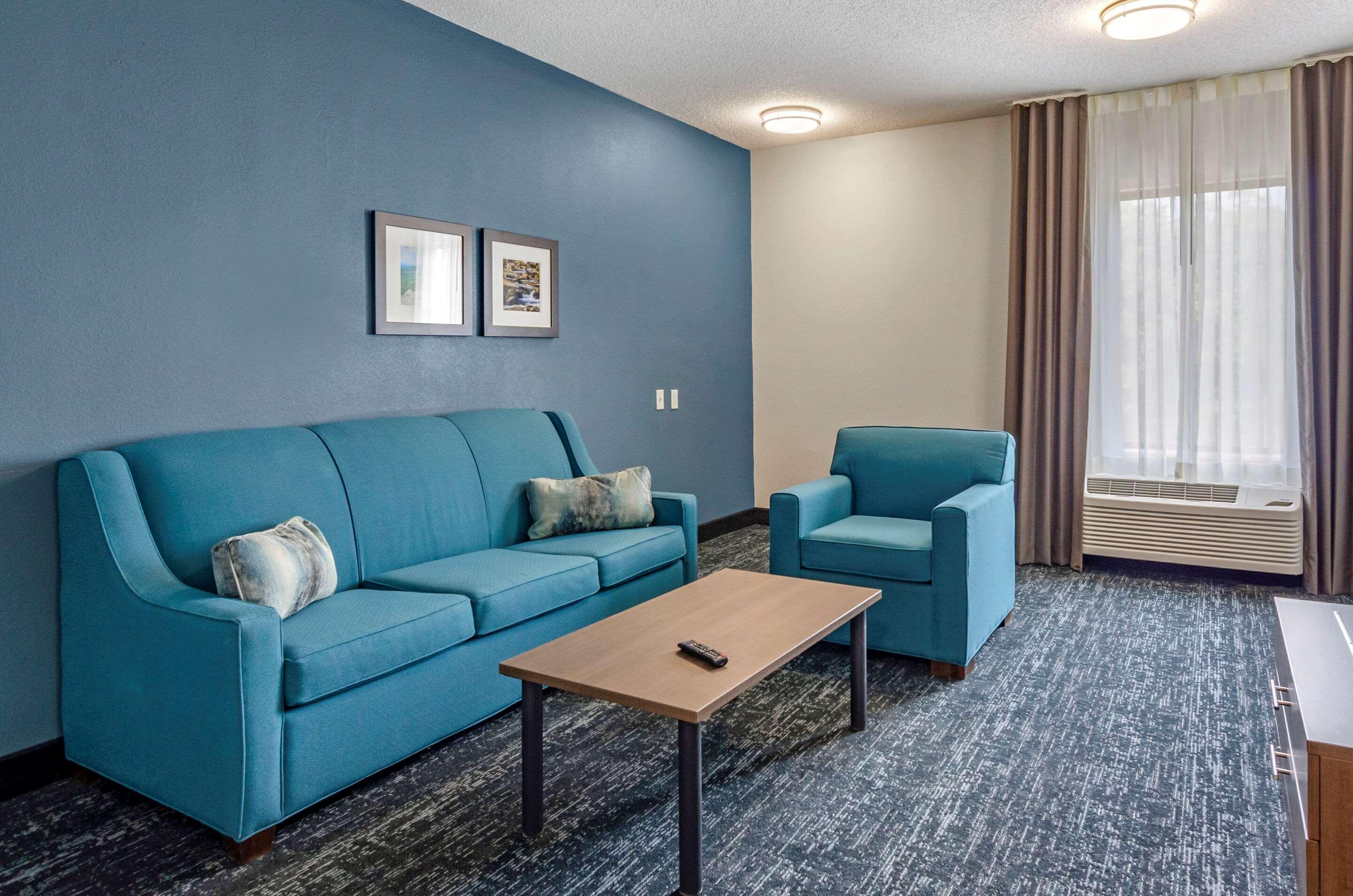 Comfort Inn & Suites Troutville Exterior foto